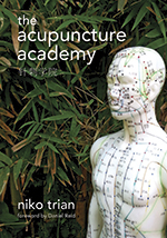 The Accupuncture Academy